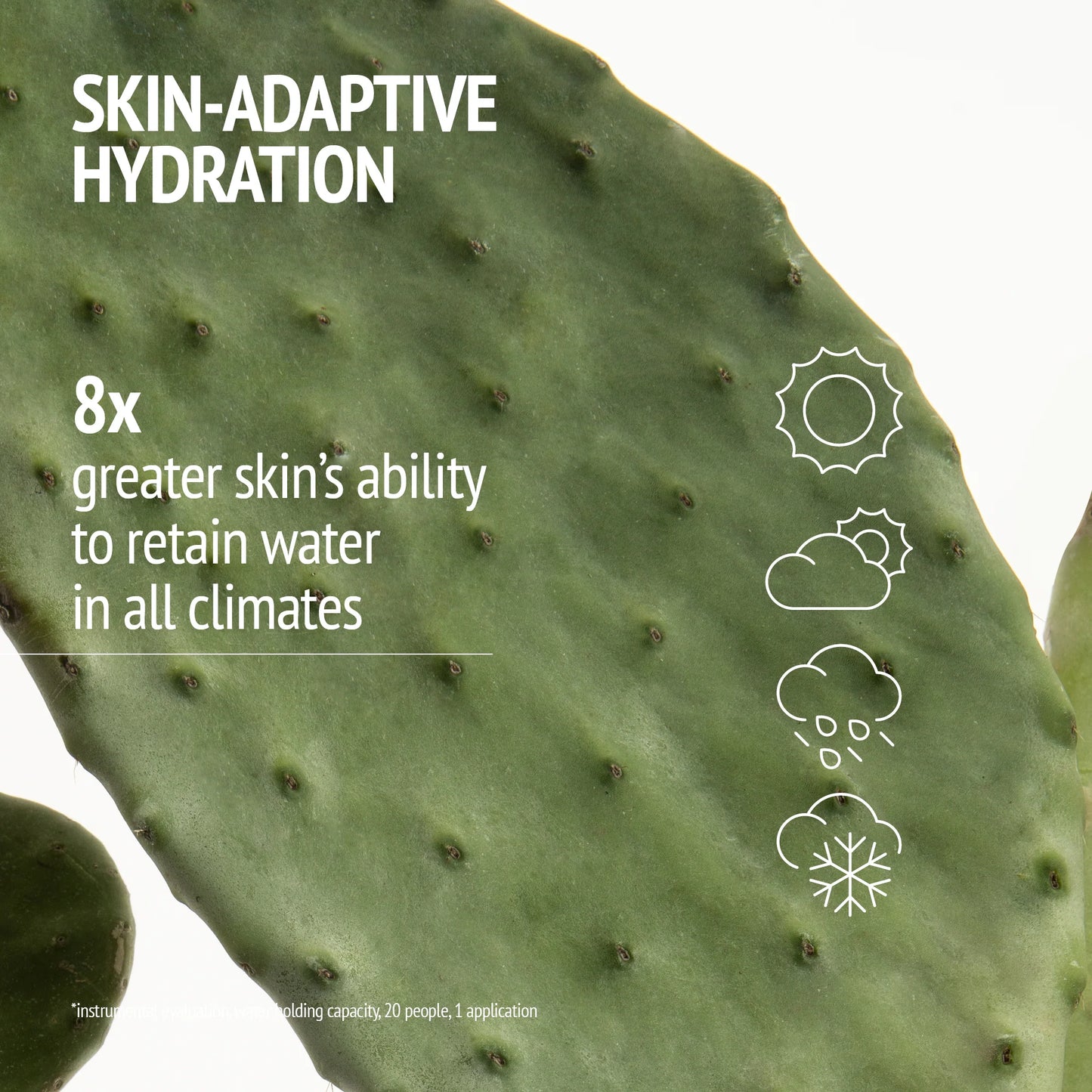 Hydramemory Rich Sorbet Cream