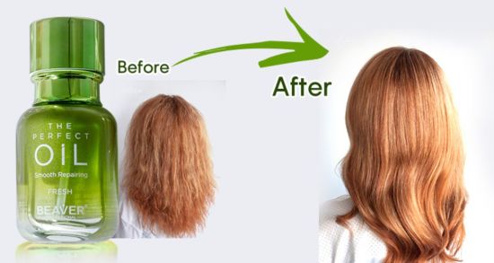 Beaver Professional Hair Oil – Fresh